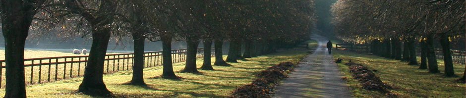 Oude OnsWebbySite